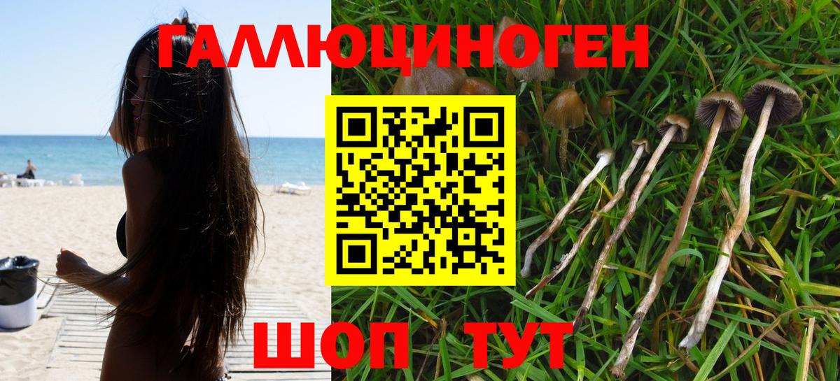 Псилоцибиновые грибы Magic Shrooms  Вход с VPN  Луга 
