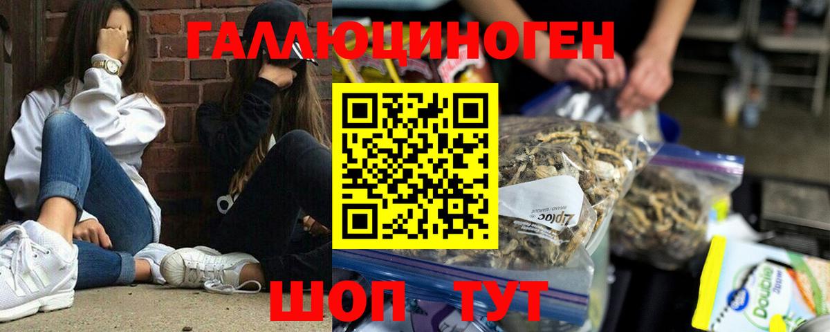Псилоцибиновые грибы GOLDEN TEACHER Луга